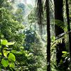 Natuur Costa Rica